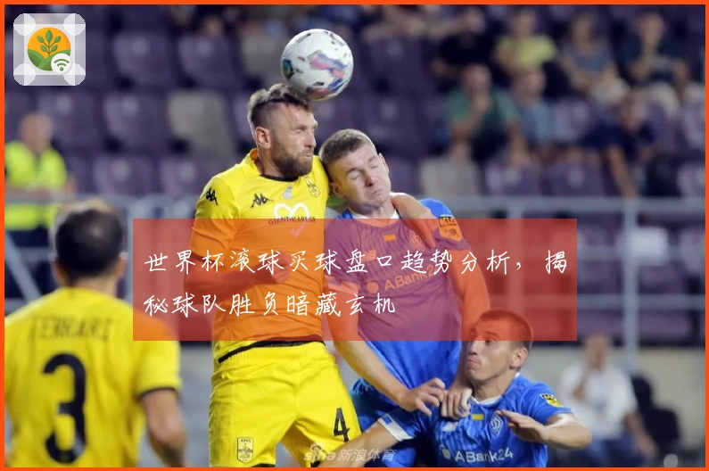世界杯滚球买球盘口趋势分析，揭秘球队胜负暗藏玄机