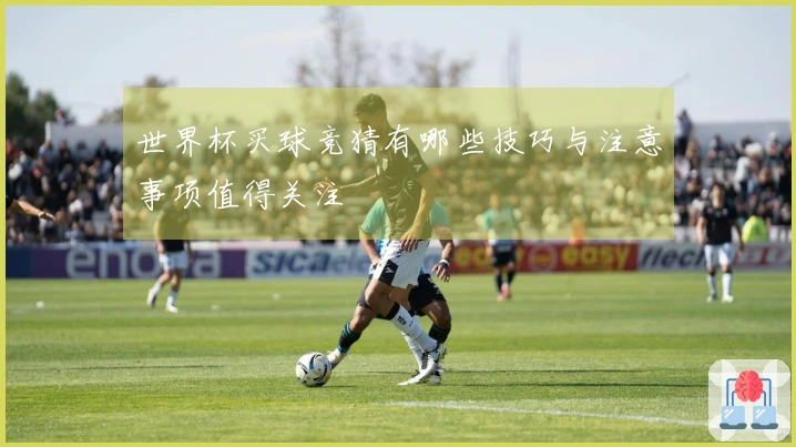 世界杯买球竞猜有哪些技巧与注意事项值得关注